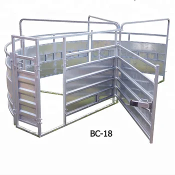 Rotary Separation Channel Crowding Tub Cattle Sweep System For Cattle ...