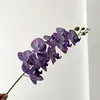 04-Púrpura ahumado