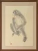 Japanese Monkey