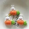 Bright face - sit radish rabbit white