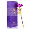 Pourpre