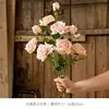 3 pink roses with burnt edges