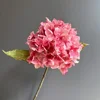 Rosa oscuro