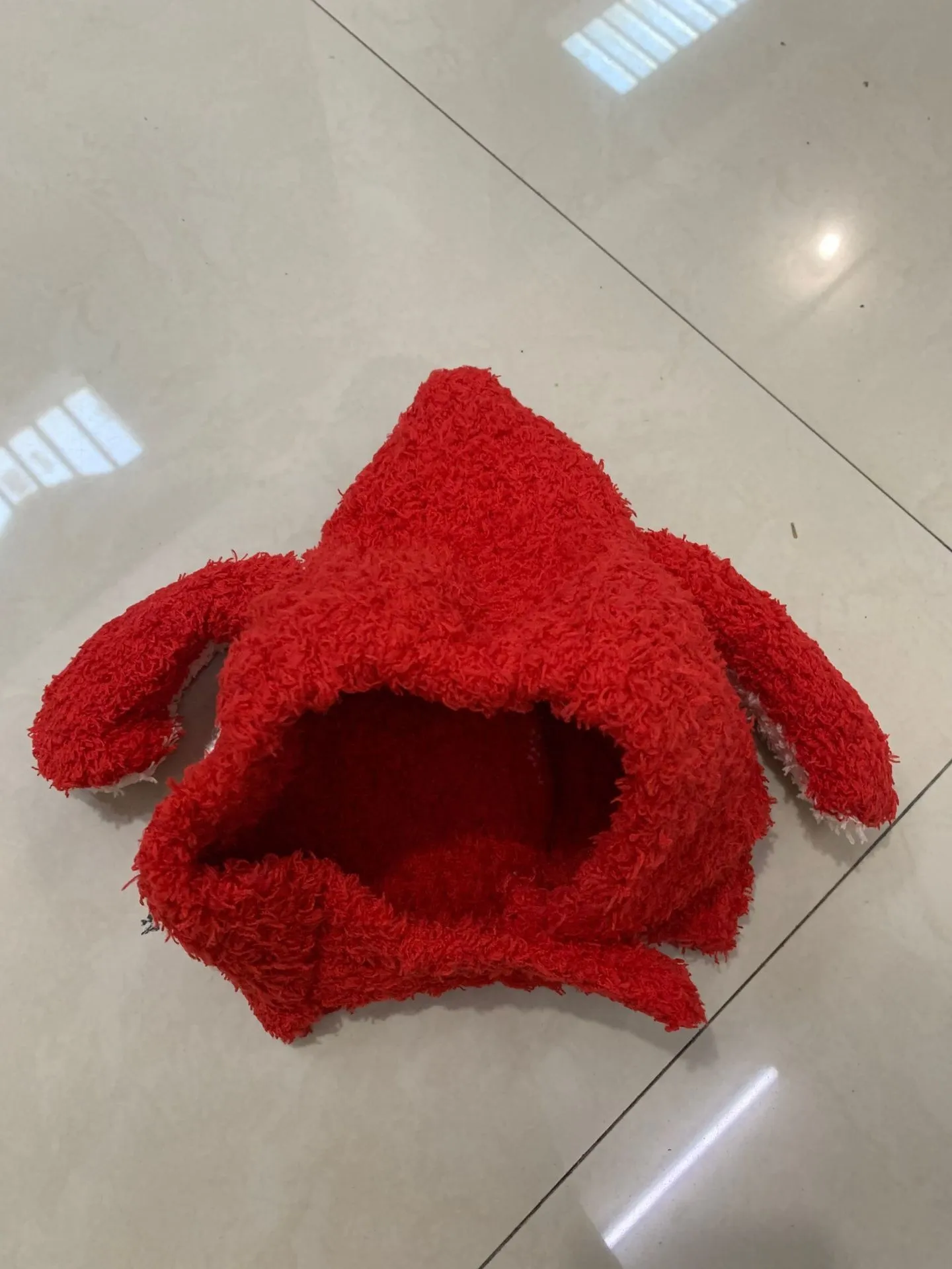 ted019