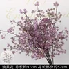 Branches de fleurs de colza violet
