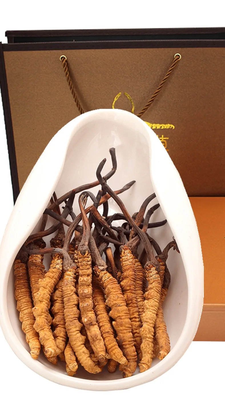 Wholesale Price Sell Bulk Natural Cordycepin Longrich Fungus Dried