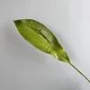 Petit vert