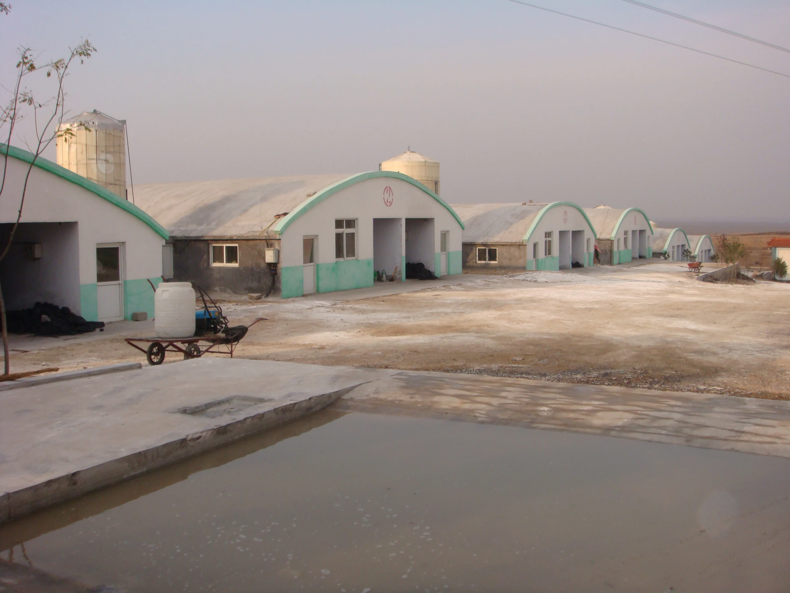 PP Plastic Splash Trickle Grid Cross-Fluted Sheet Deodorizing Wet Curtain Net Counter Flow Cooling Tower Film Fills for Pig Farm