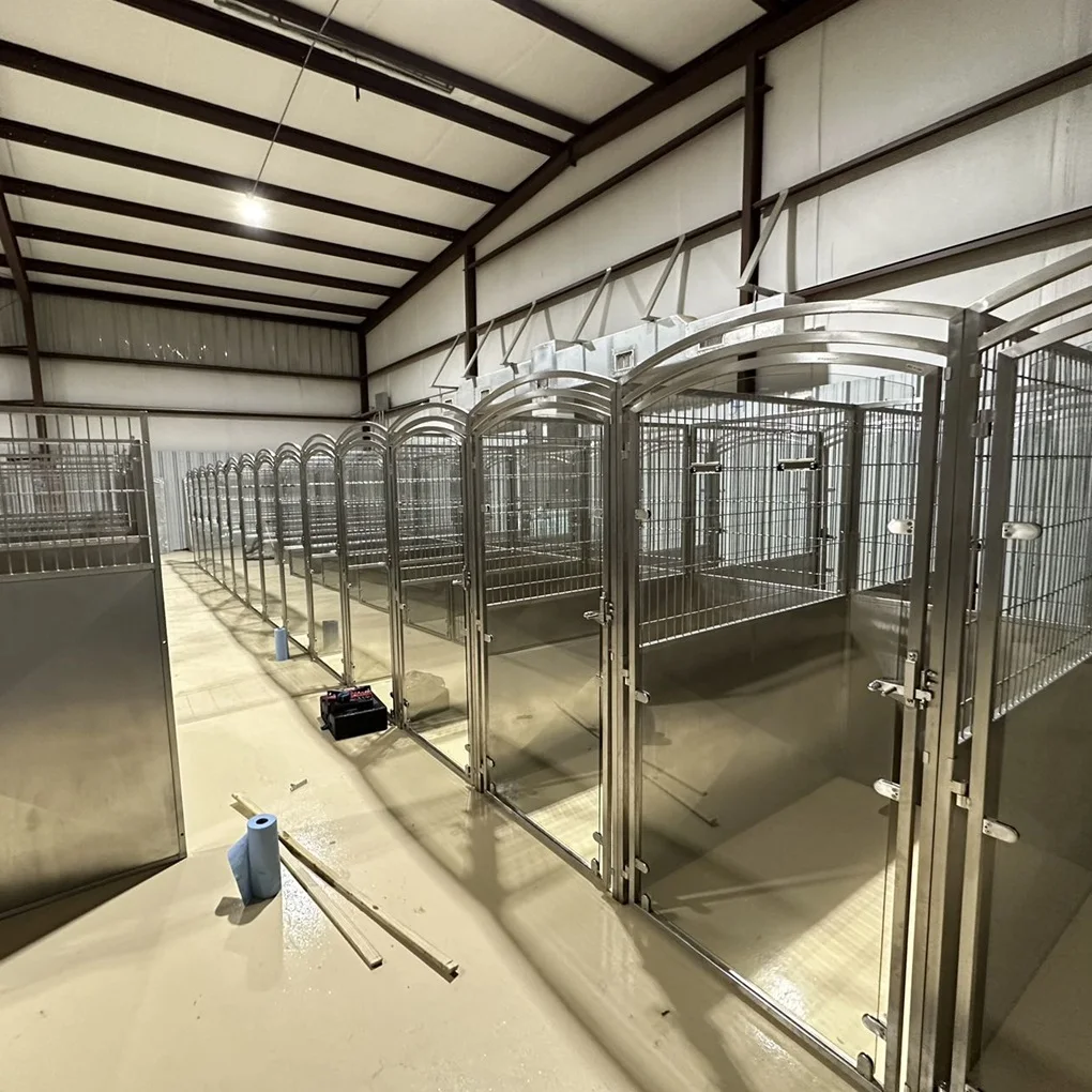 Dog Kennels Good Cattery Near Me Pet Sitting Cattery Kennels Near