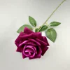 Rose à grandes cornes - Rouge vin