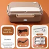 Brown-4 compartments