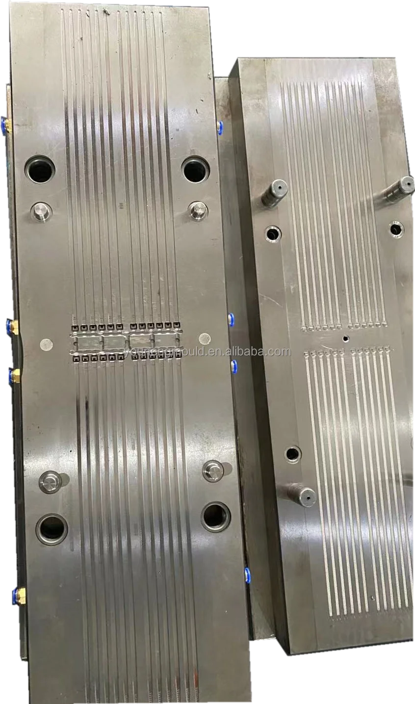 oem广泛的各种颜色双锁定尼龙尼龙扎带模具