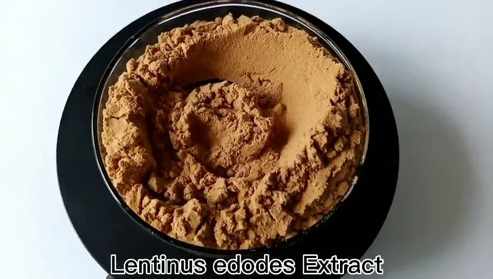 hot selling lentinus edodes extract polysaccharides shiitake
