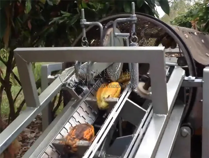Fresh Cocoa Beans Dehuller Remover Extractor Harvester From Green Cocoa Pod Separated From Shells