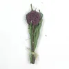 Rosa Verde