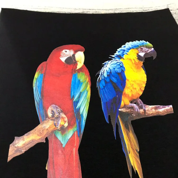 Premium Direct to Garment Textile Pigment Ink for Polyprint TexJet Echo Dtg Printer