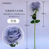 Grey single large-headed rose