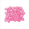 rose rose