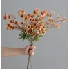 Orange-single