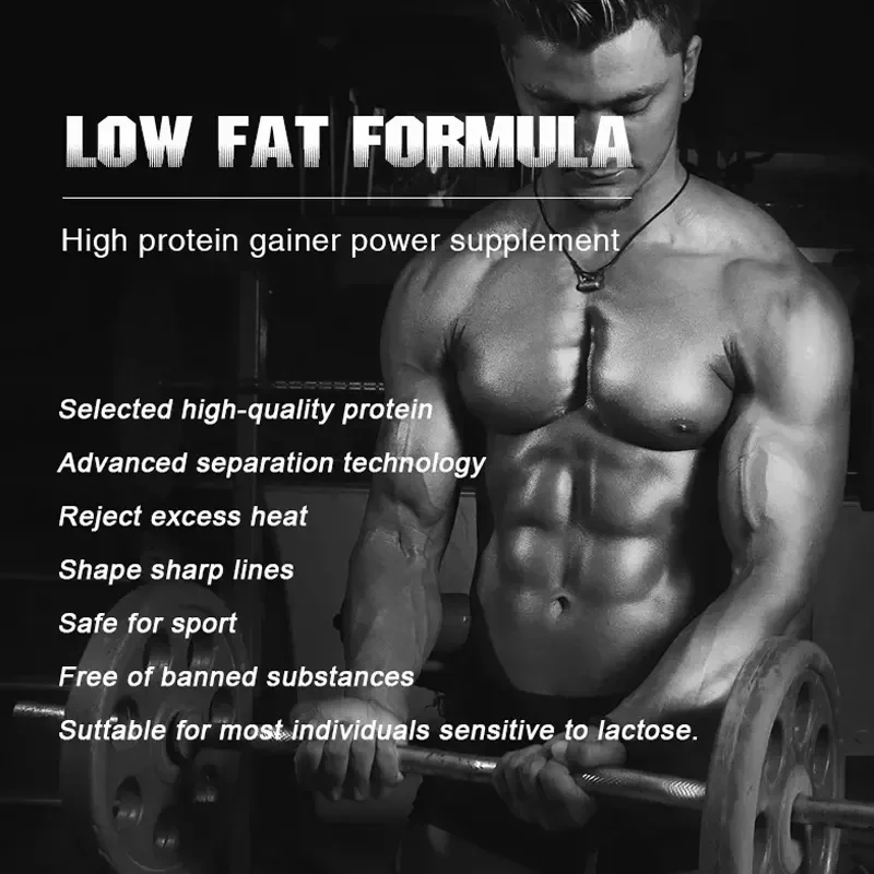 Wholesale Whey Protein Chocolate Powder Mass Gainer Isolate Whey