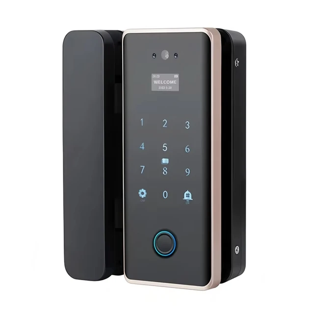 Tuya WIFI Wireless Optional Keyless Face Biometric Fingerprint Glass Door Lock with IC Card Reader Password and Mechanical Keys