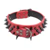 Clavo negro: Rojo
