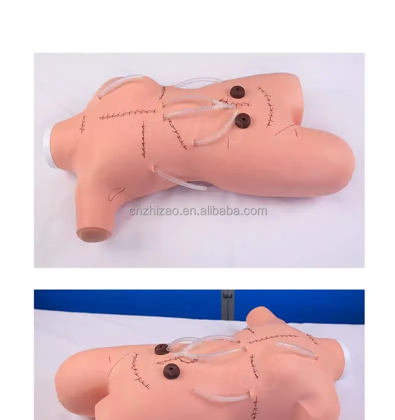 Medical Teaching Model Surgical Suture and Bandaging Display for ...
