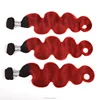 T1b/red
