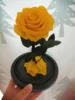 Yellow (without Light and Gift Box)
