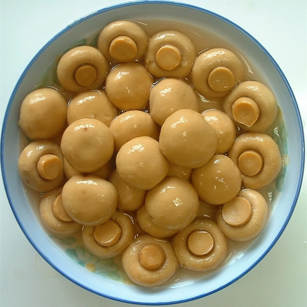 Champignon mushroom