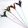 Colorful feather