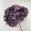 Nero viola