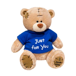 Customised OEM Plush Soft Toy Small Mini Brown Teddy Bear Custom Logo Colorful Hoodie T Shirt Stuffed Animal Gift