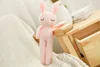 Pink bunny