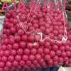 A30 nueva rosa roja