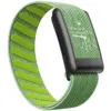 #8 Vert citron