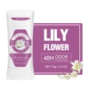 lily flower