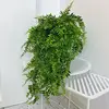 69-mesh Persian - without pot