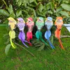 Uccelli maculati di colori misti: 12 per confezione