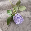 สีม่วง