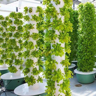 DIY Aeroponic Hydroponics Stackable Growing Systems New Agriculture Garden Vertical Petal Hydroponic Tower Growing Systems