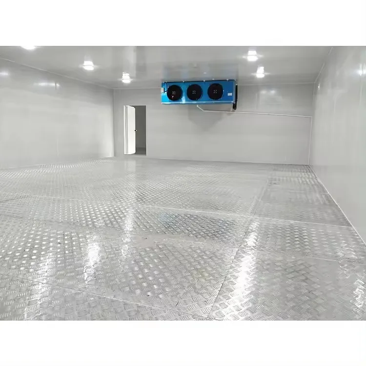 Industrial Walk in Freezer Mobile Container Cold Storage Blast Freezer Room Cooler Rooms for Meat