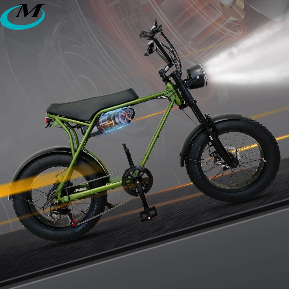 48v 750wミドルドライブファットタイヤ電動自転車Eバイクfatbike