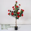 Red camellia 120cm