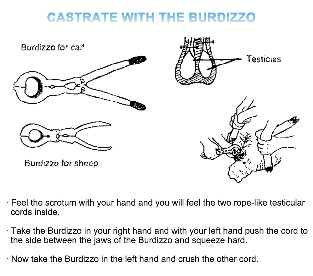 Cettia Animal Husbandry Best Selling Animal Bloodless Veterinary