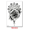 TBS-8213