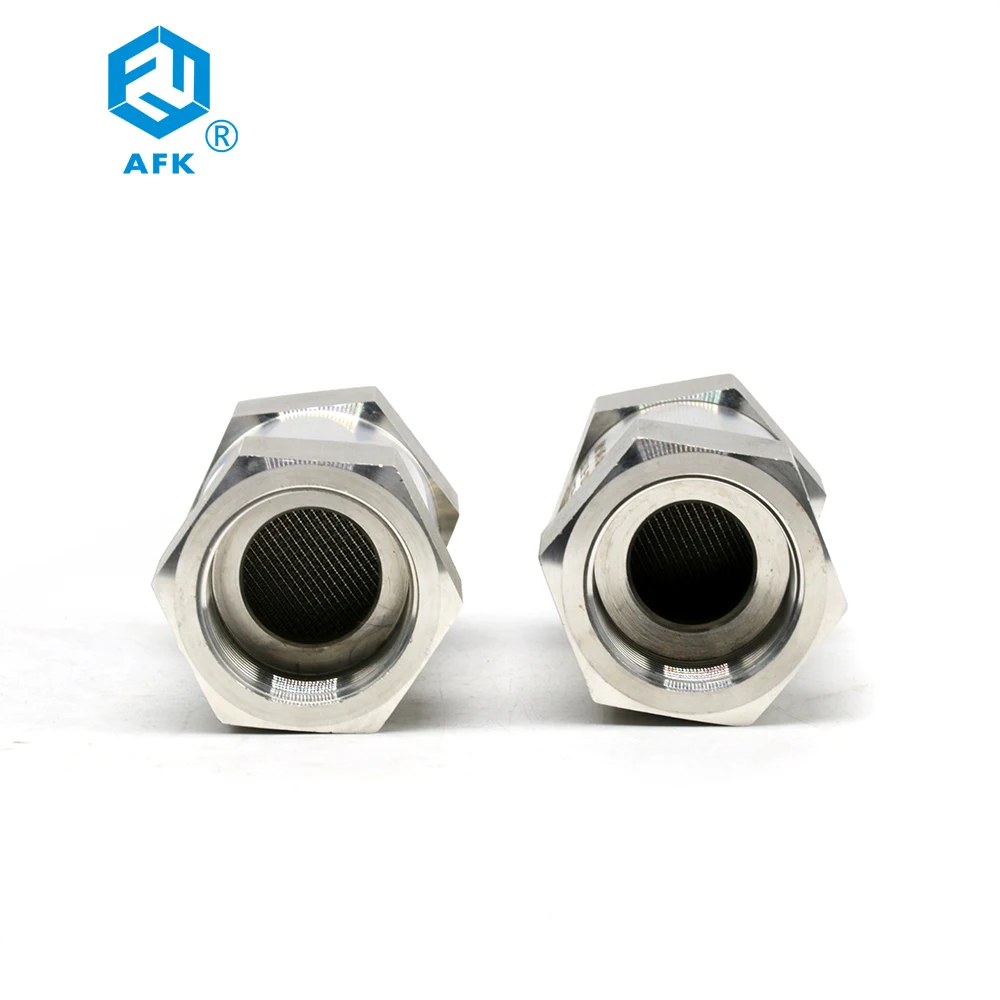 Flammable Gas Flame Arrestor SS316 Female 1