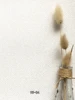 white 95-34 - 1㎡