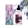 Lavanda
