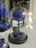 Blu scuro (12*20 cm)